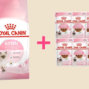 로얄캐닌 키튼/베이비 4kg + 로캐파우치,캔,파티믹스