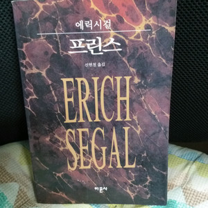 프린스/어릭시갈장편소설