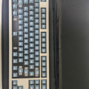 트랜지션 라이트 he 8k 트랜라he 래피드트리거 키보드