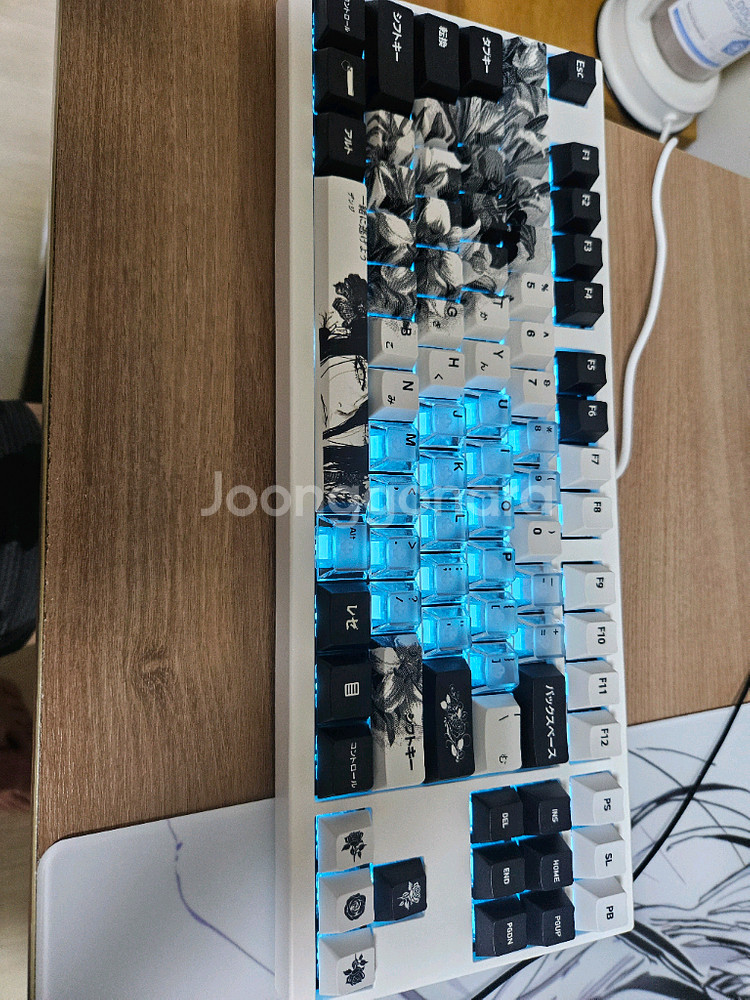 트랜지션 라이트 he 8k 트랜라he 래피드트리거 키보드--1