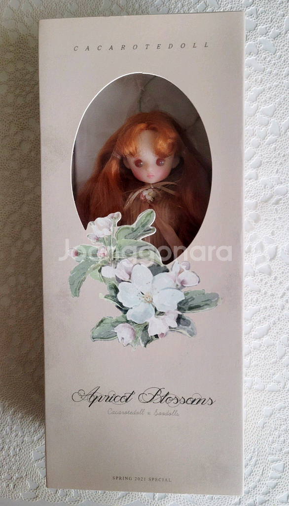 카카롯 애프리콧블라섬--0