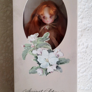 카카롯 애프리콧블라섬