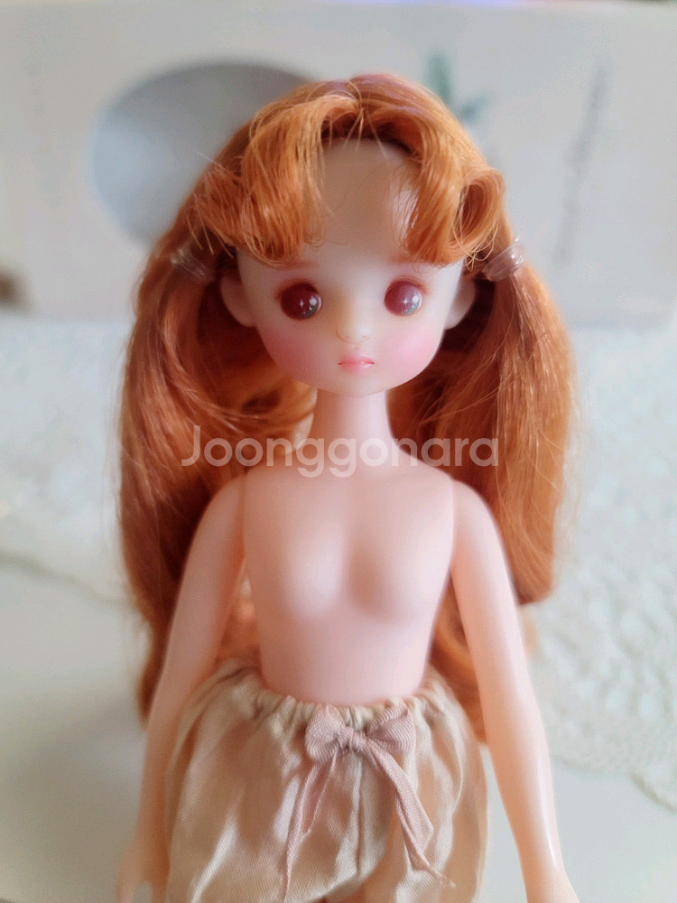 카카롯 애프리콧블라섬--2