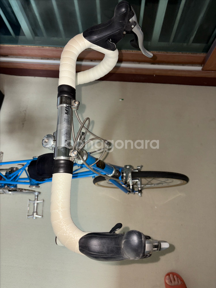 몰튼 쥬빌리 50주년--1