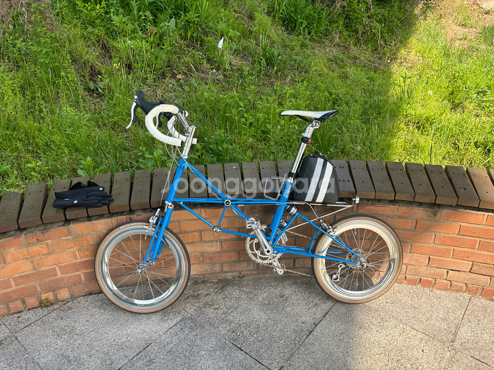 몰튼 쥬빌리 50주년--0