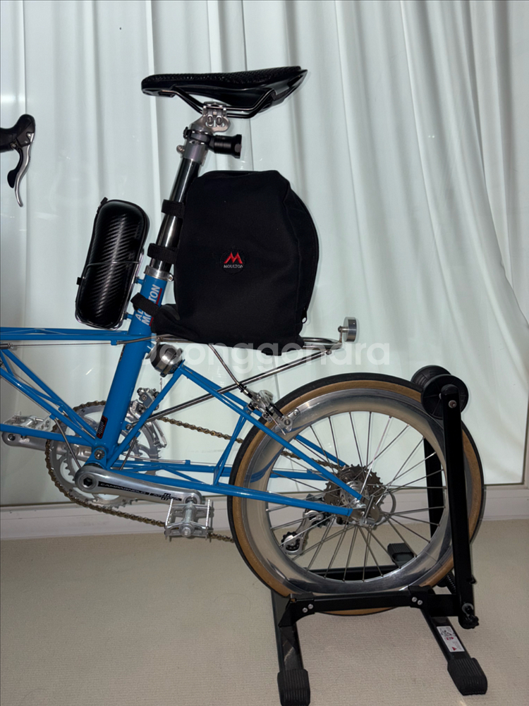 몰튼 쥬빌리 50주년--8