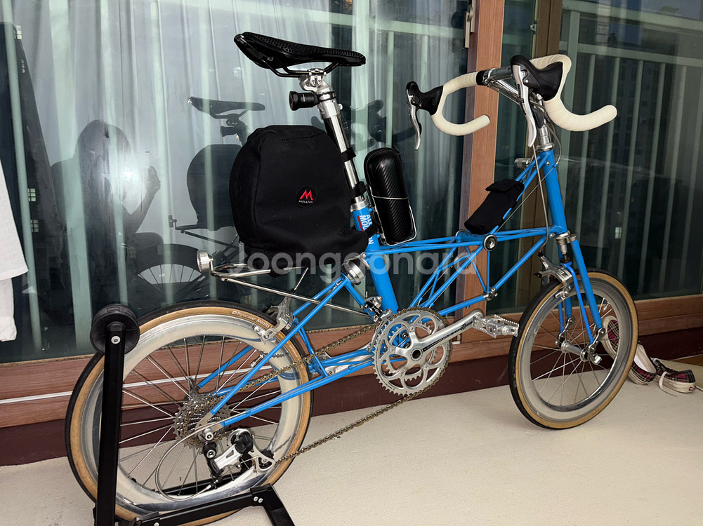 몰튼 쥬빌리 50주년--5