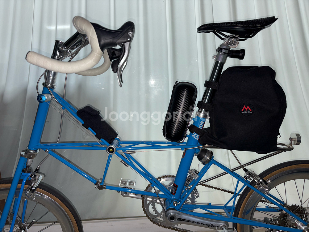 몰튼 쥬빌리 50주년--6