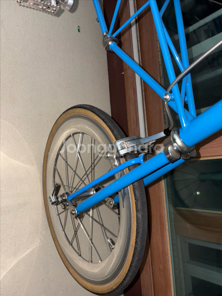 몰튼 쥬빌리 50주년--3