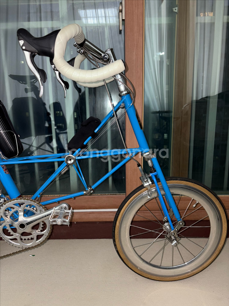 몰튼 쥬빌리 50주년--4