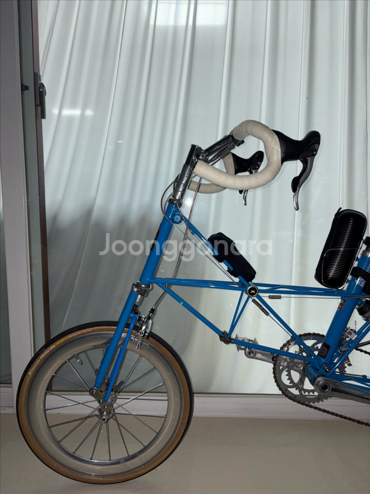 몰튼 쥬빌리 50주년--7