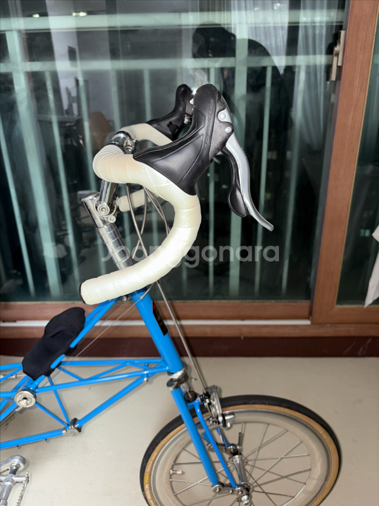 몰튼 쥬빌리 50주년--2