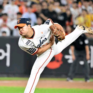 [한국시리즈 대전 잠실] 한화 팬 직관 티켓