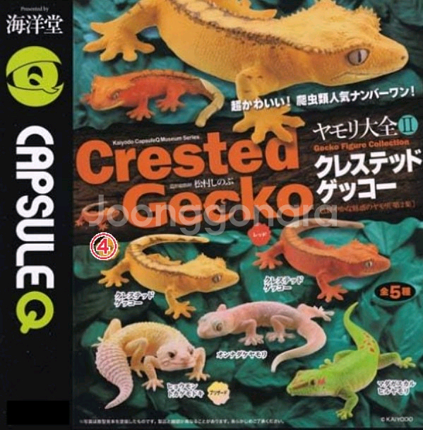 카이요도 도마뱀 대전 가챠 피규어 파충류 크레 레게--1