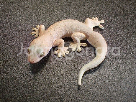 카이요도 도마뱀 대전 가챠 피규어 파충류 크레 레게--4