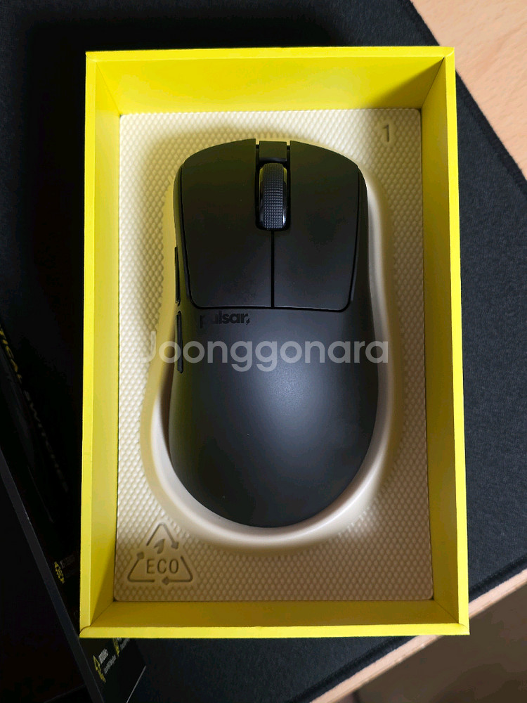 펄사 Xlite crazylight 엑크라--2