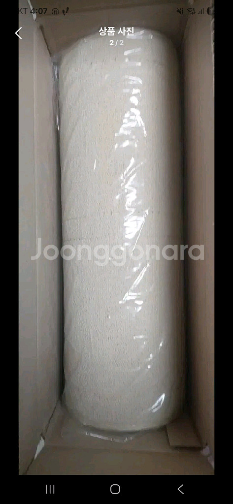 고양이스크래쳐 도레미파 냥오름--0