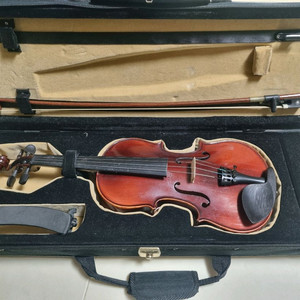 영창 알버트웨버 YVN101 1/2사이즈