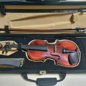 영창 알버트웨버 YVN101 1/2사이즈