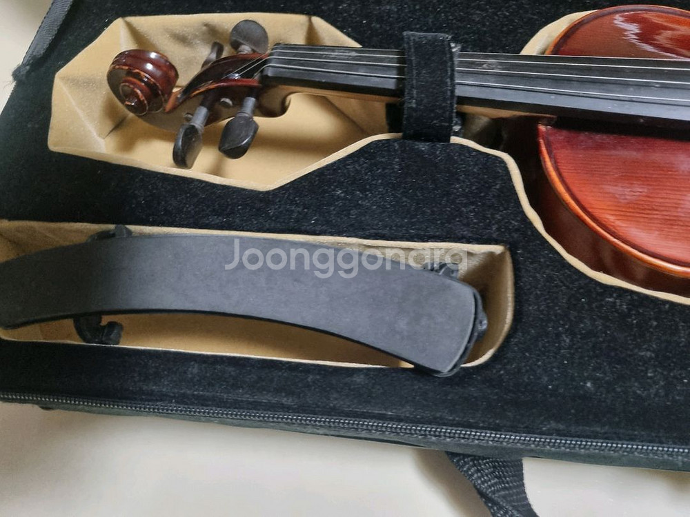 영창 알버트웨버 YVN101 1/2사이즈--1