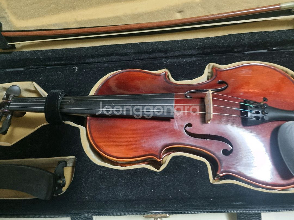 영창 알버트웨버 YVN101 1/2사이즈--2