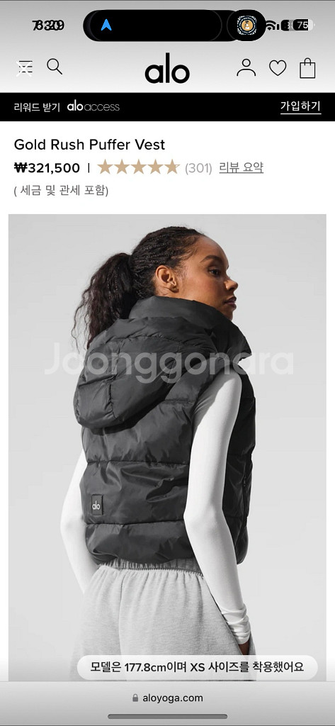 알로요가 골드러쉬 베스트 S 새상품--0