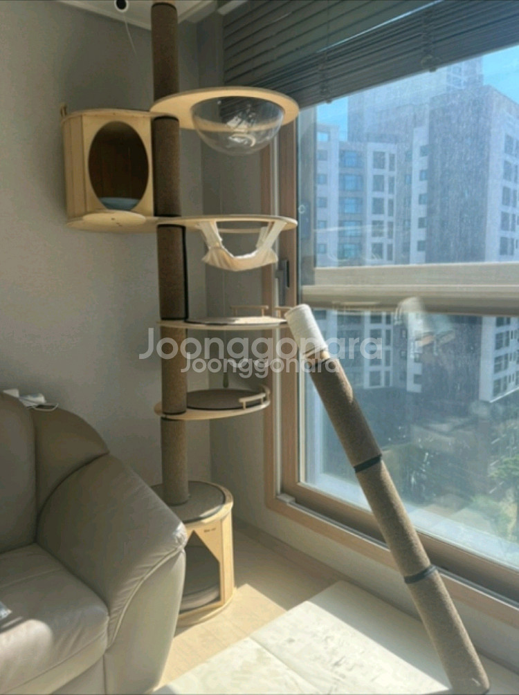 원목 캣폴 캣타워--0