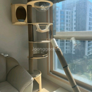 원목 캣폴 캣타워