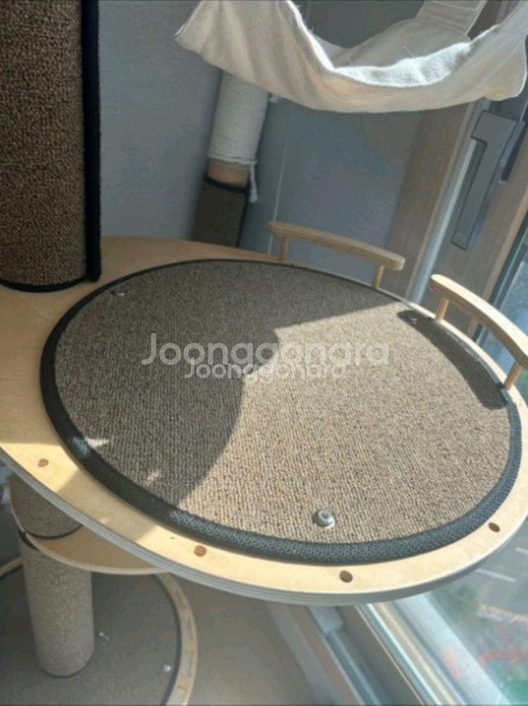 원목 캣폴 캣타워--5