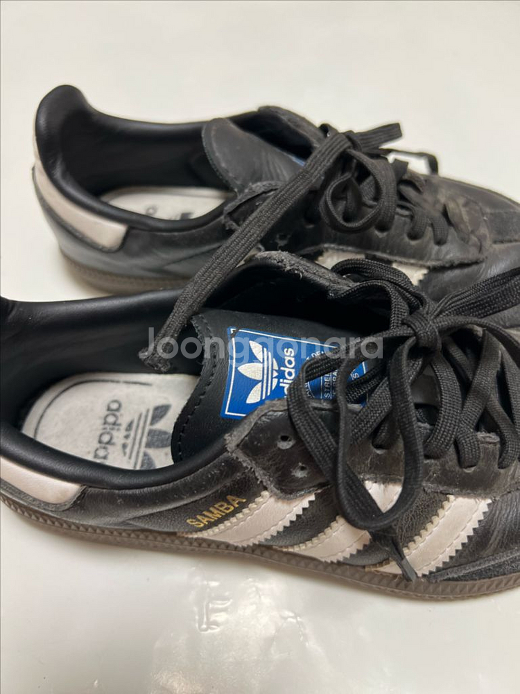 아디다스삼바200,캔버스로우190,컨버스하이190--1