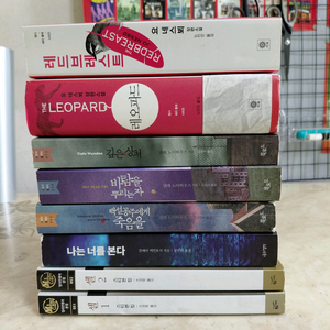 요네스뵈 레드브레스트 레오파드 넬레노이하우스 8권