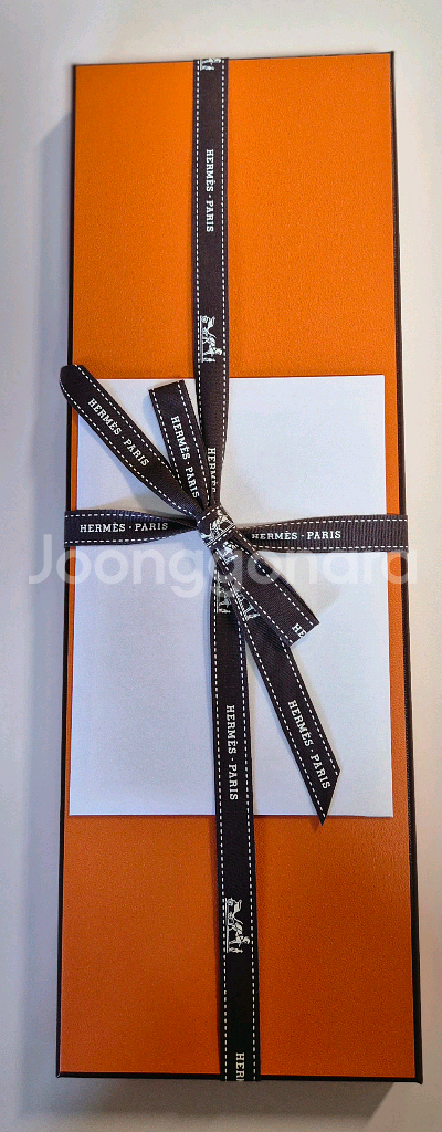 에르메스 파소네 뉴 H 타이 마린(네이비)팝니다--5