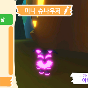 입양하세요 펫 메가네온 미니 슈나우저 판매합니다