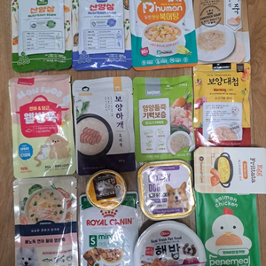 강아지 파우치 일괄