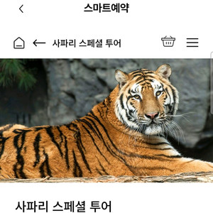 에버랜드 사파리스페셜투어 양도합니다