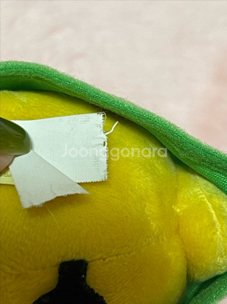 산엑스 키이로이토리 인형 크리스마스 트리--4