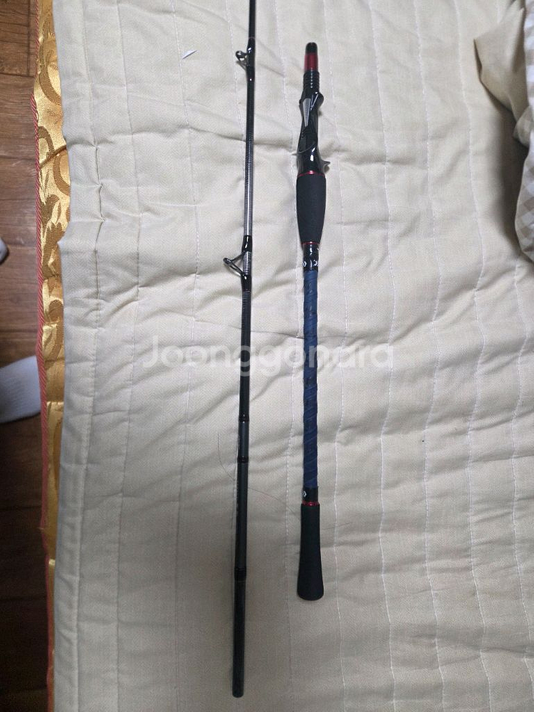 다이와 쿄쿠에이 타코이카 170mh--0