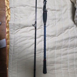 다이와 쿄쿠에이 타코이카 170mh