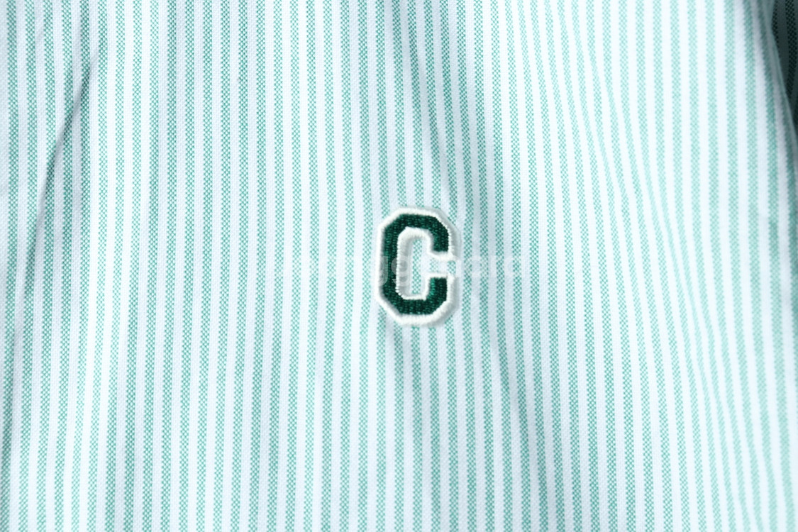 (2XL) 커버낫 셔츠 남방 빅사이즈 스트라이프 그린--4