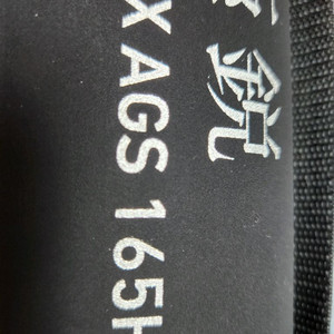 다이와 극예 EX AGS 165H