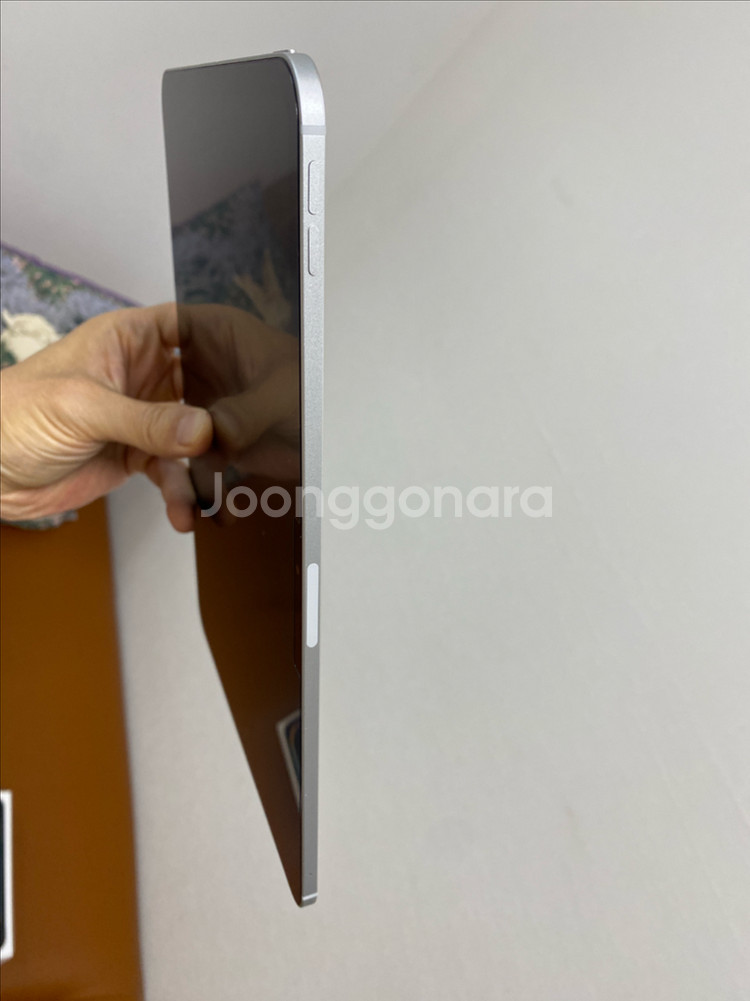 아이패드프로 11 M4 256기가 셀룰러 실버--3