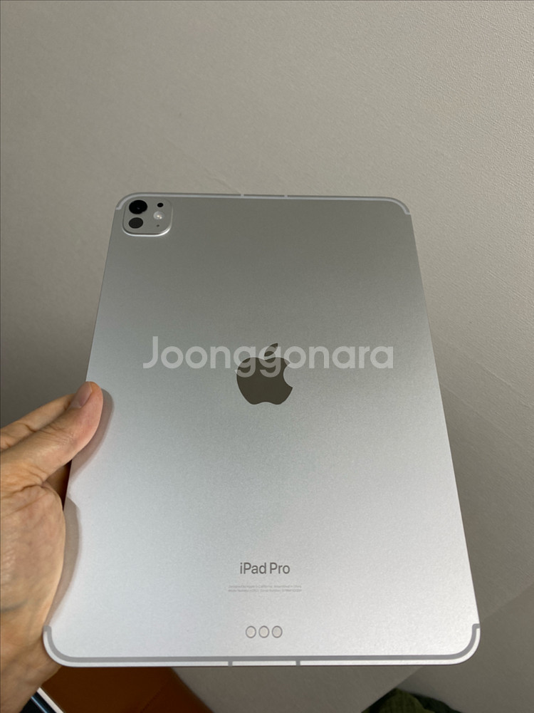 아이패드프로 11 M4 256기가 셀룰러 실버--6