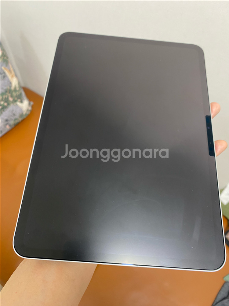 아이패드프로 11 M4 256기가 셀룰러 실버--1