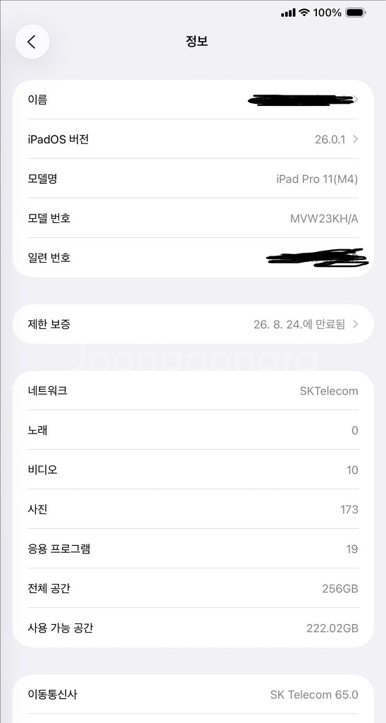아이패드프로 11 M4 256기가 셀룰러 실버--8