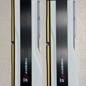 (미사용) 서린 G.SKILL DDR5 PC5-51200 CL32 TRIDENT Z5 RGB J 64GB