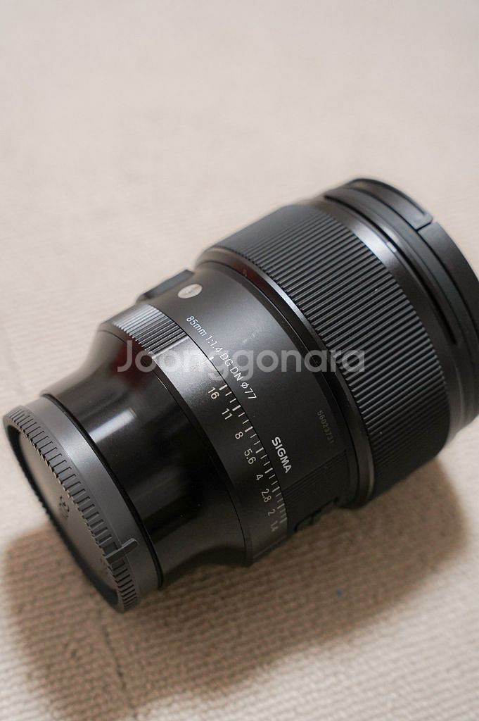 시그마 85mm F1.4 DG DN 렌즈--8