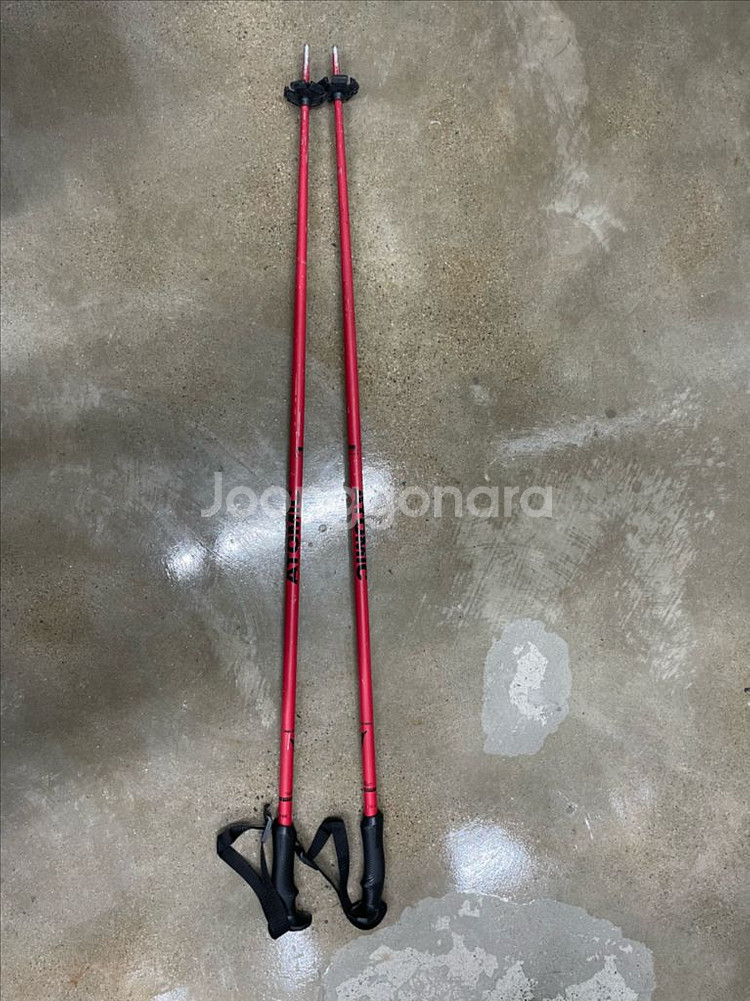 아토믹 스키 레드스타 Rx163+ 폴--6