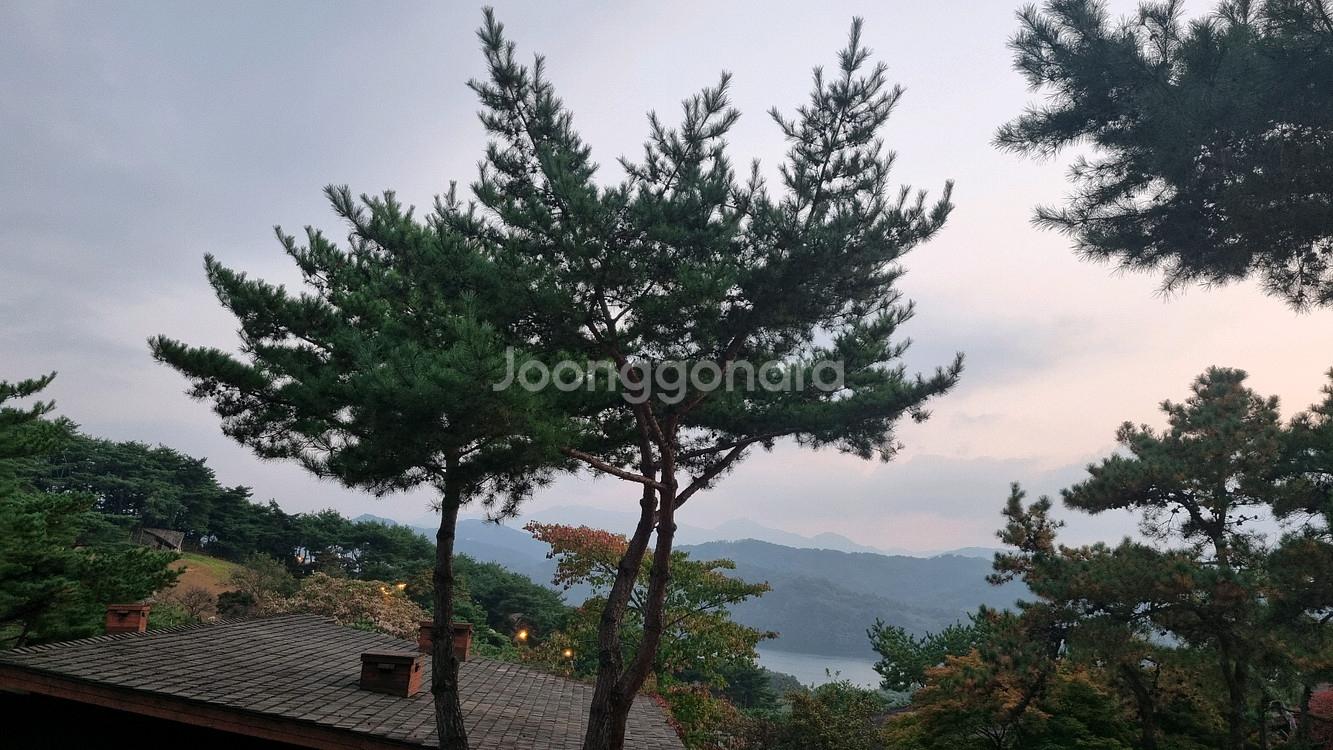 요기요 3000원 할인쿠폰--0