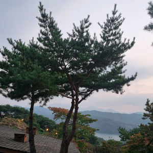 요기요 3000원 할인쿠폰