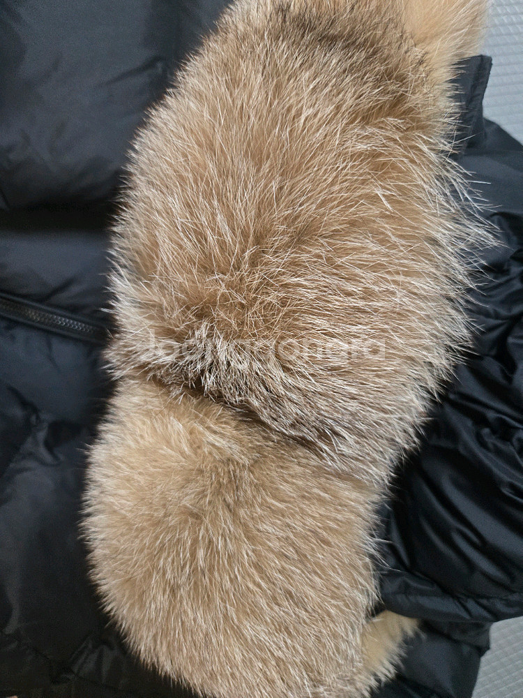 몽클레어 여성 롱패딩--2